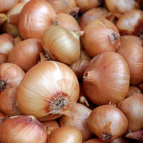 onions-g6416ff161_1280